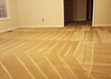 empty room after carpet cleaning service