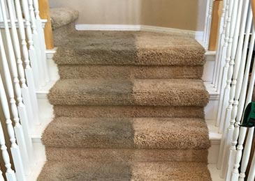 Clean Carpet inside a room