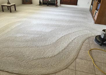 Clean Carpet inside a room