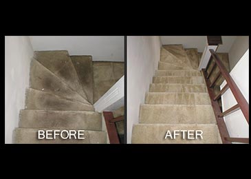 Clean Carpet inside a room