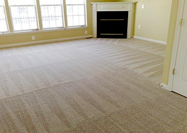 Clean Carpet inside a room